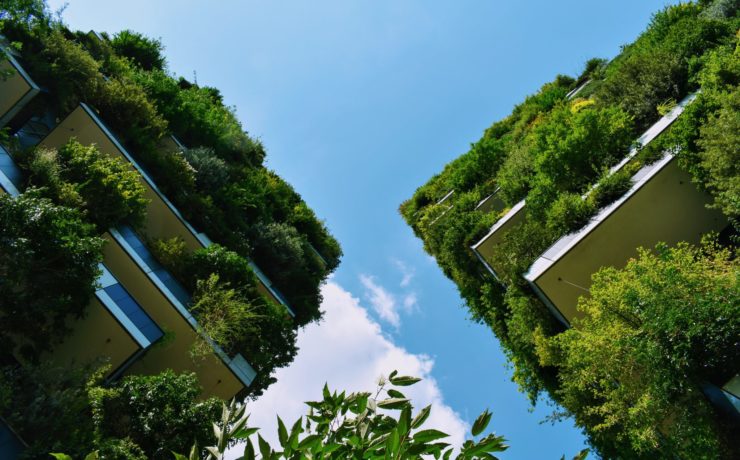 Edible gardens are reaping rewards at a workplace near you