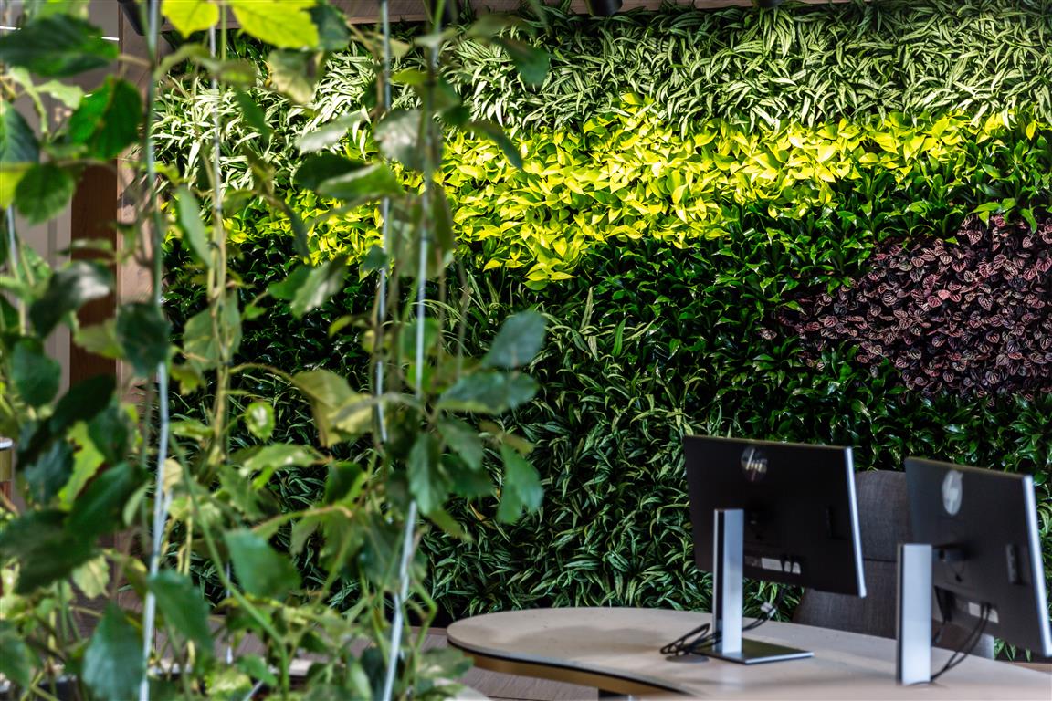 Green wall, JLL, Manchester, UK