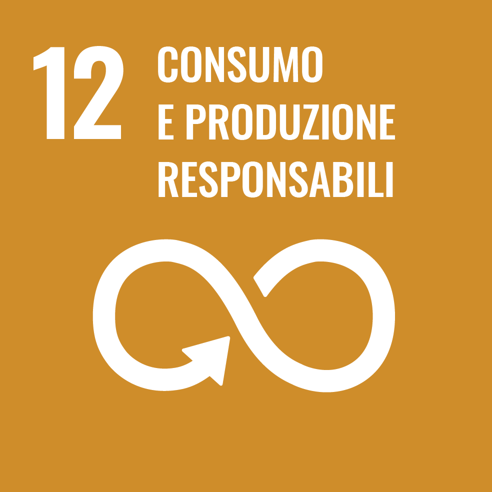 12 CONSUMO E PRODUZIONE RESPONSABILI