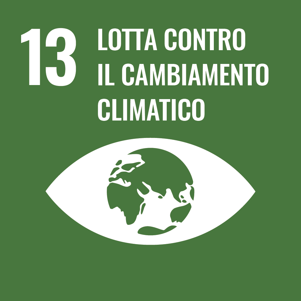 13 LOTTA CONTRA IL CAMBIAMENTO CLIMATICO