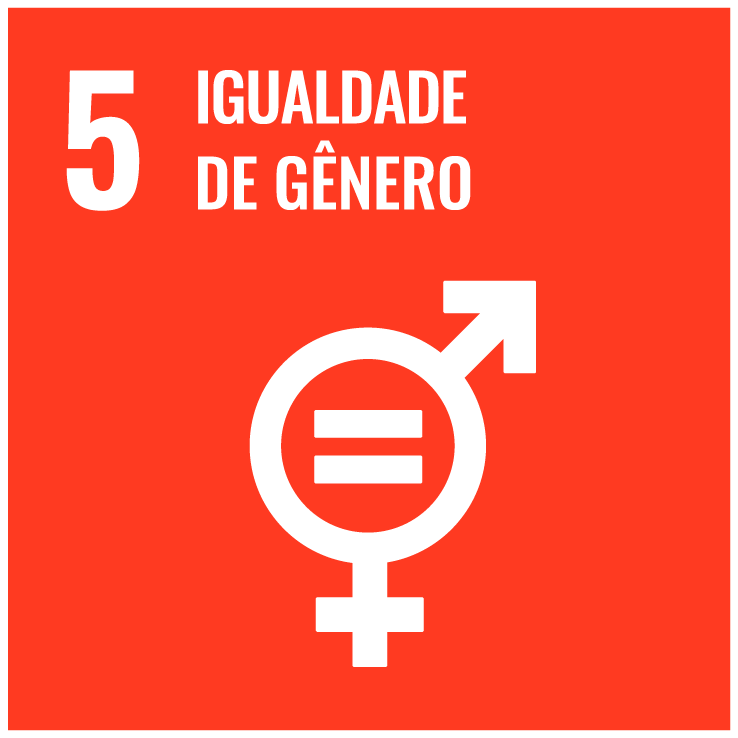 5 igualidade de gênero