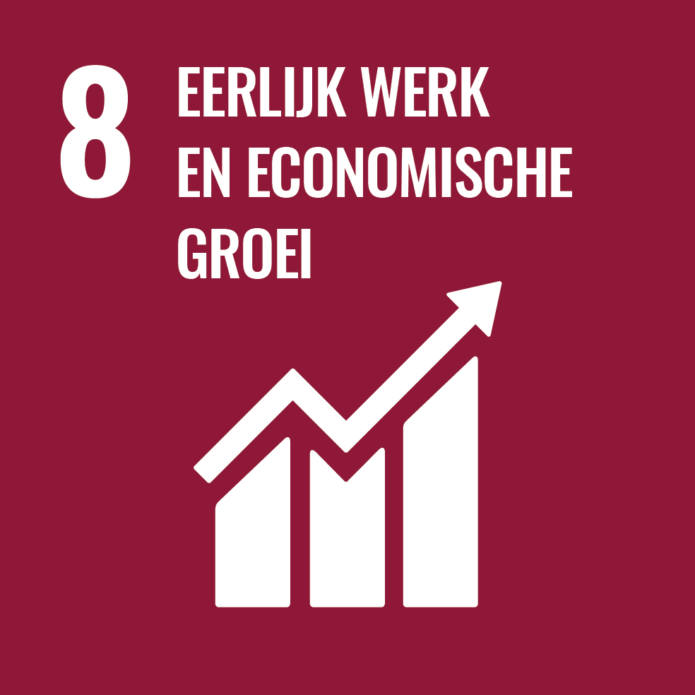 8 EERLUK WERK EN ECONOMISCHE GROEI