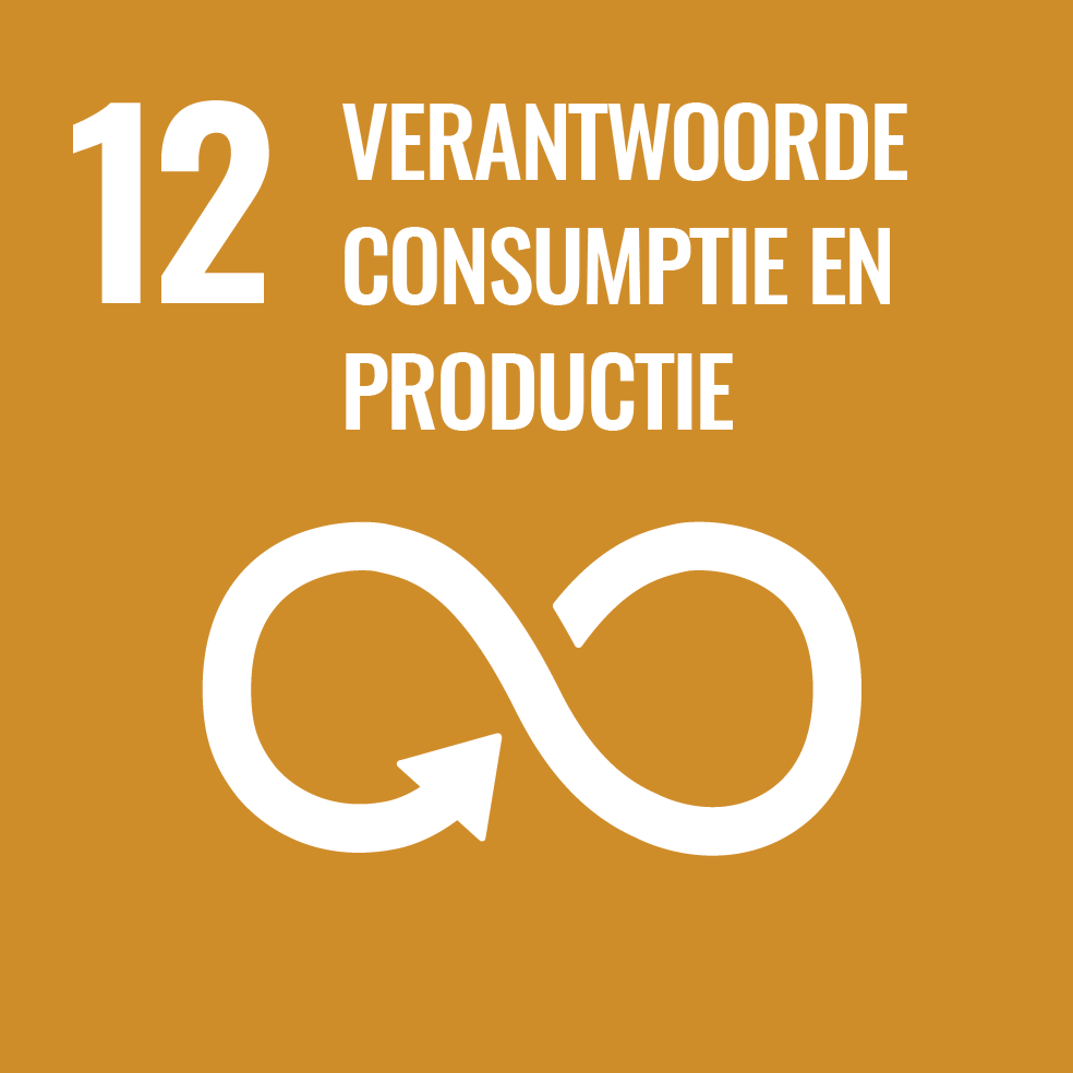 12 VERANTEWORDE CONSUMPTIE EN PRODUCTIE