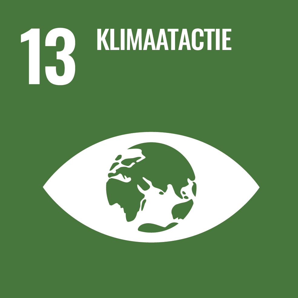 13 KLIMAATACTIE