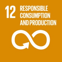 12 responsible consumption and production