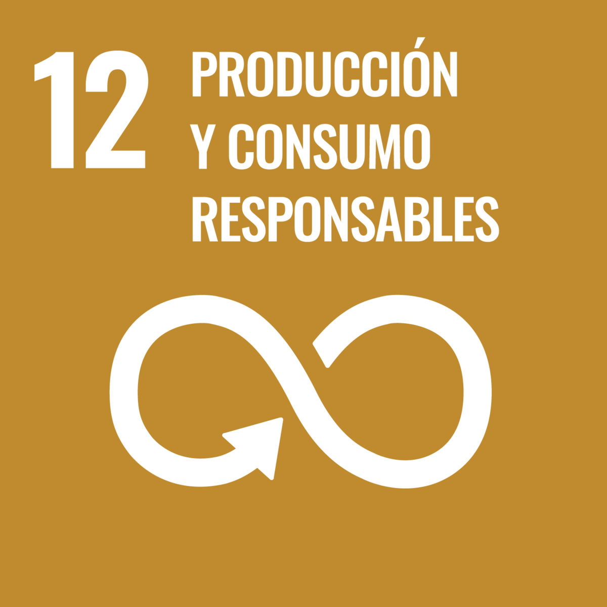12 producción y consumo responsables