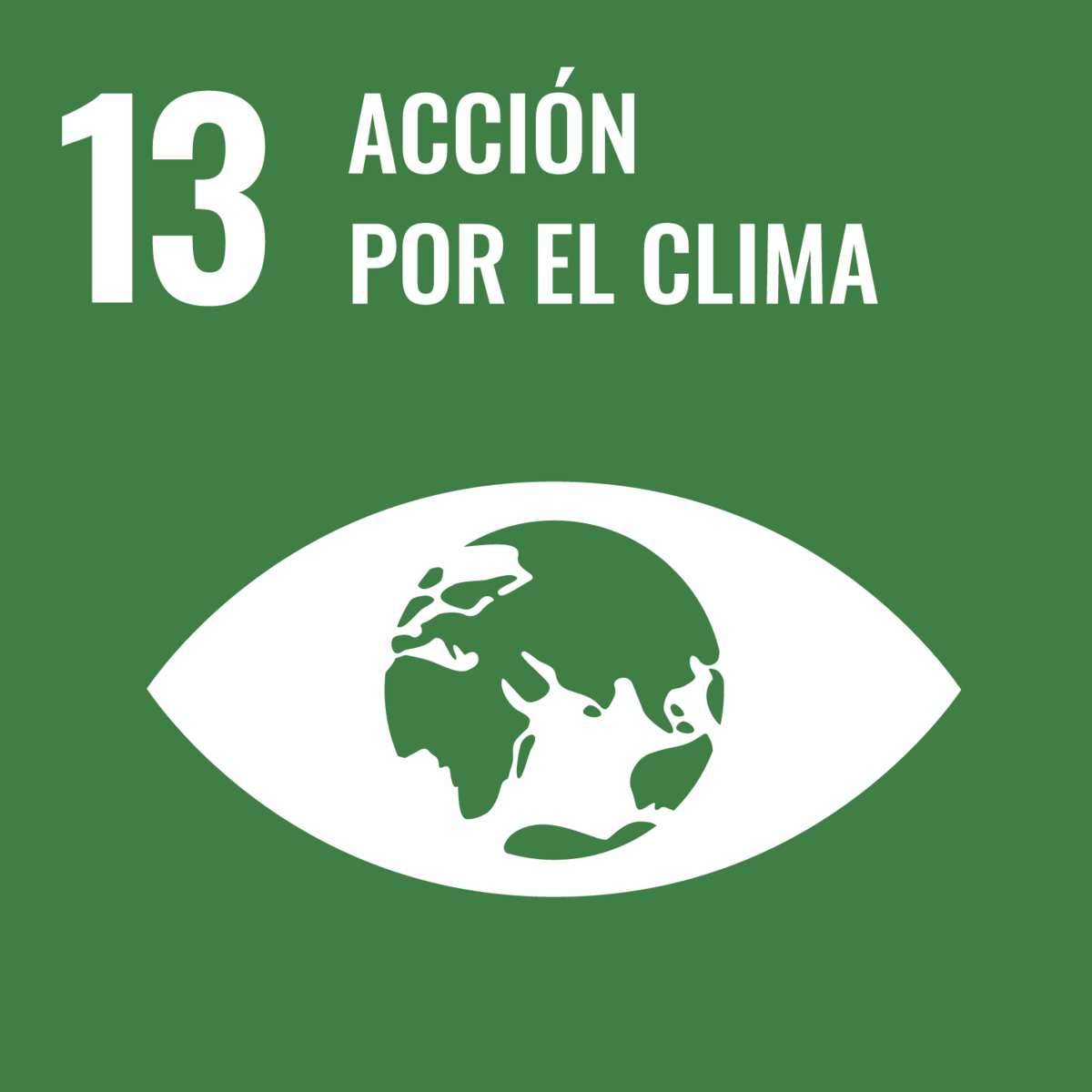 13 acción por el clima