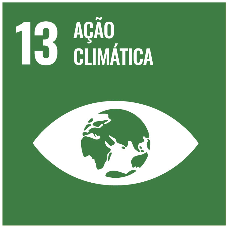 13 açāo climática