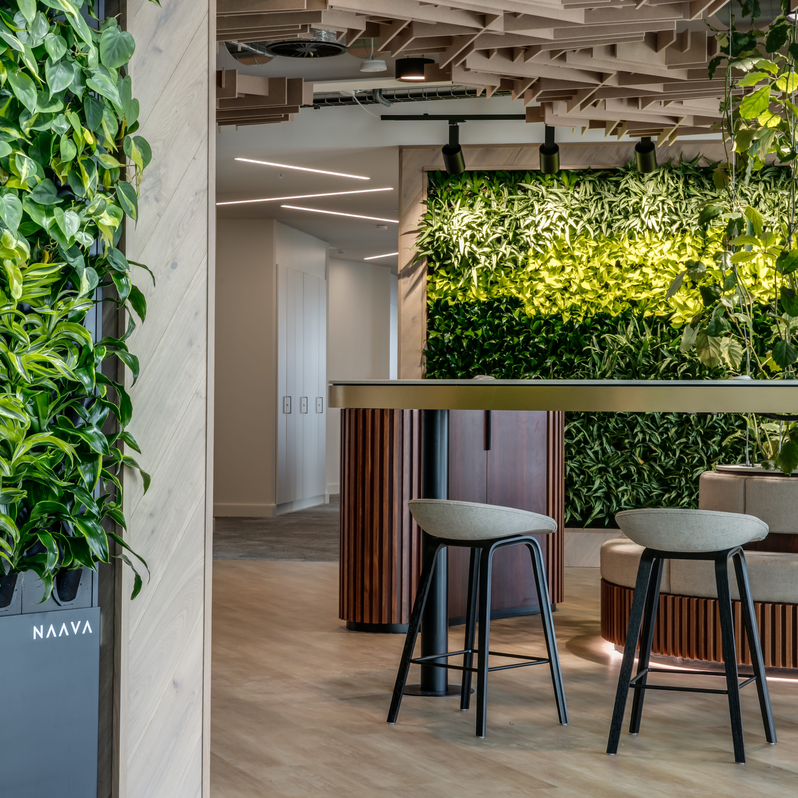 Biophilia is central to the space we designed for JLL’s office in Manchester, UK