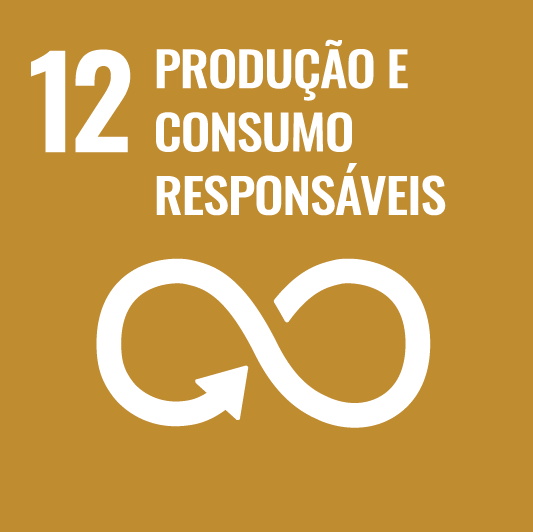 12 PRODUÇÃO E CONSUMO RESPONSÁVEIS