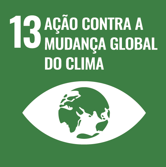 13 AÇÃO CONTRA E MUDANÇA GLOBAL DO CLIMA