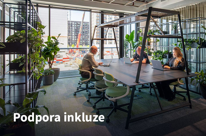 Sustainability-3-inclusive-places-cs Podpora inkluze