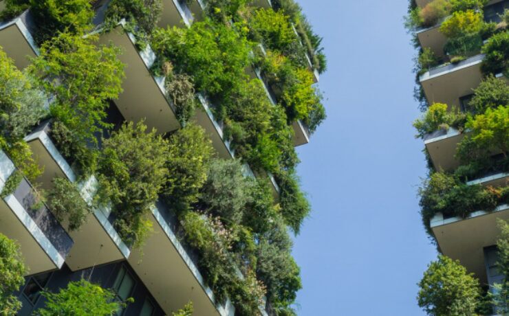 Webinar : How can the built environment drive social and environmental value ?