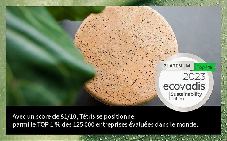Tétris obtient la médaille Platinium d’EcoVadis pour la deuxième année consécutive !