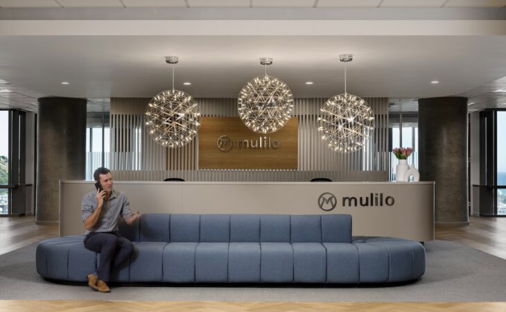 Cross-Cultural Office Design: Mulilo & CIP’s Scandinavian-African Fusion